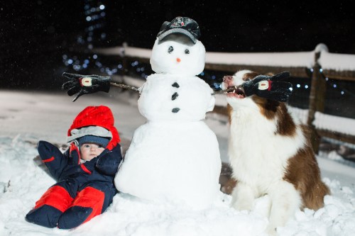 Rusty trying to reposition Frosty's arm