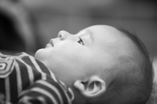 Side profile of our handsome guy.