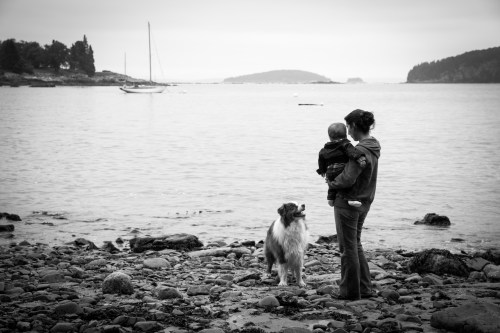 Pretty views from Compass Harbor.