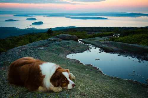 Rusty resting on the summit watching sunrise.