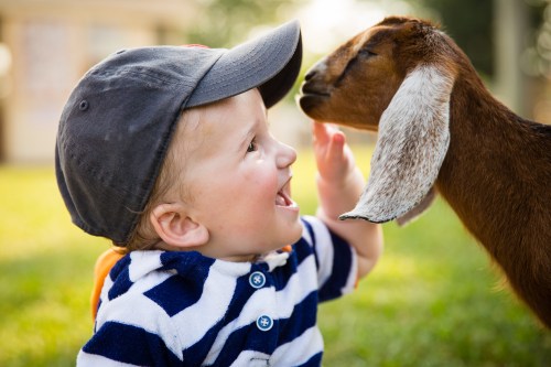 So excited about the 9 day old cows