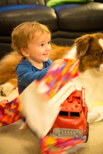Present time! Rusty helped him rip off the wrapping paper! 
