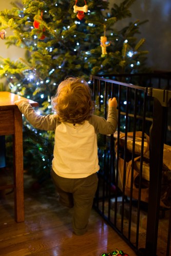Staring at the lights, trying to figure out how to reach the ornaments 