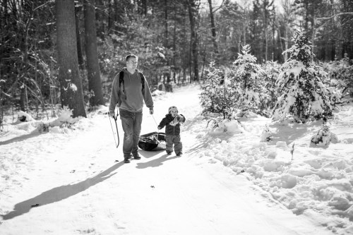 Cam helping to look for a Christmas Tree